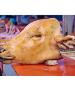 COW HEAD